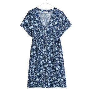 Madewell Blue Floral Dress